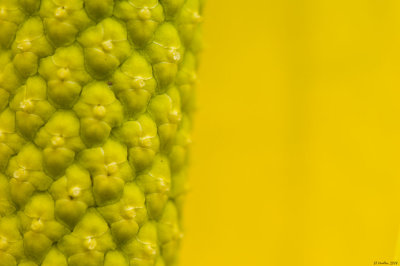 g3/57/624457/3/95225808.HGAkx2Q3.jpg