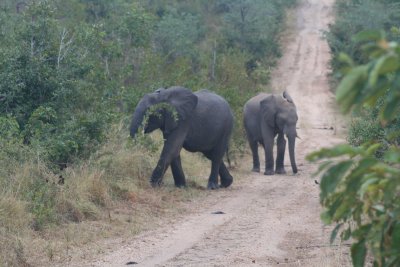 Sabi Sands