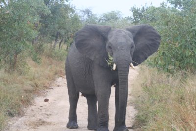 Sabi Sands