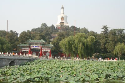 IMG_0313.JPG