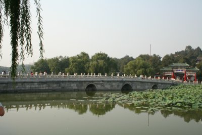 IMG_0315.JPG