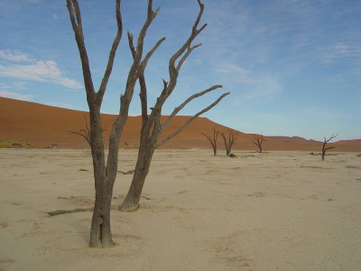 Dead Vlei