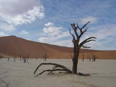 Dead Vlei