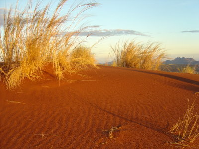 Sossusvlei