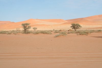 Sossusvlei