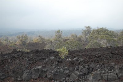 Volcanic Soil