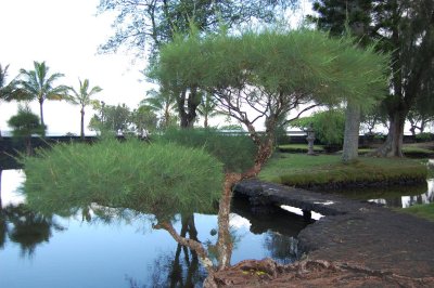  Park in Hilo