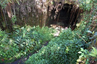 Entrance to the cave