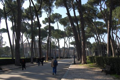 Roma Pines