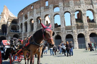 Horses in Colosseum