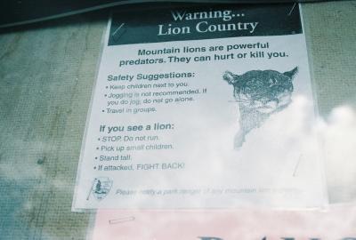 Lion Contry
