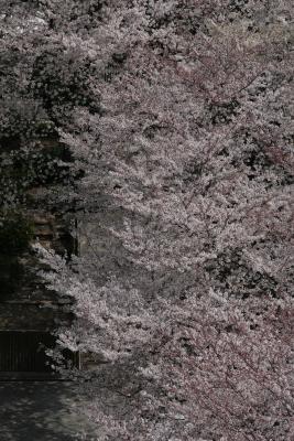 IMG_5780.JPG
