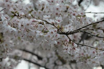 IMG_5794.JPG