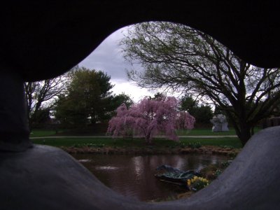 g3/57/660457/3/95709775.8fgF0UE4.jpg