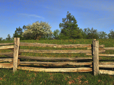 Old Rustic Fence