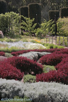 Filoli Gardens