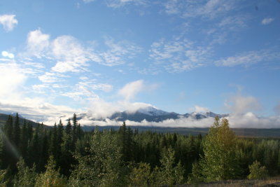 Along the Alaska Rail Way-2006.jpg