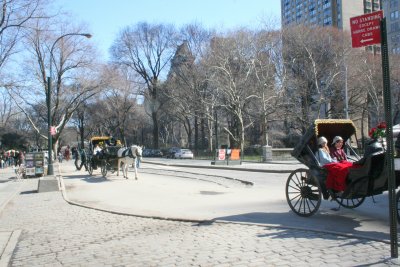 Central Park-NYC-Easter Sunday-2008.jpg