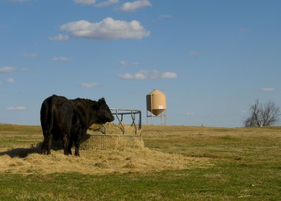 silo.JPG