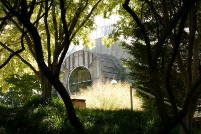 Crystal Bridge - Myriad Gardens.jpg