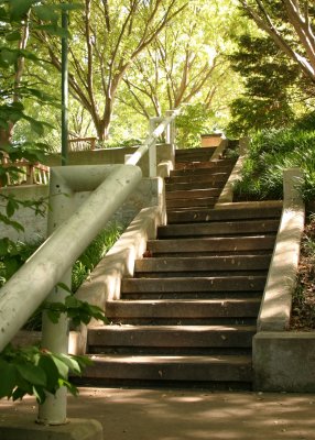 Stairs - Myriad Gardens.jpg