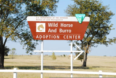 Whitebead Cemetery  Wild horse and burro adoption center 005.JPG