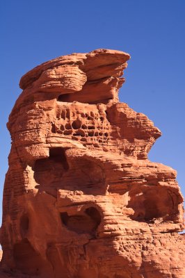 20091126-_IGP2649.jpg