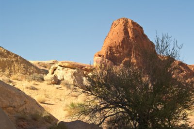 20091126-_IGP2718.jpg