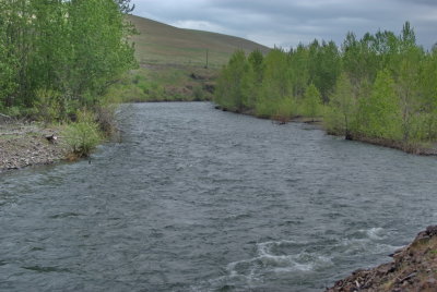 Umatilla River, May 08