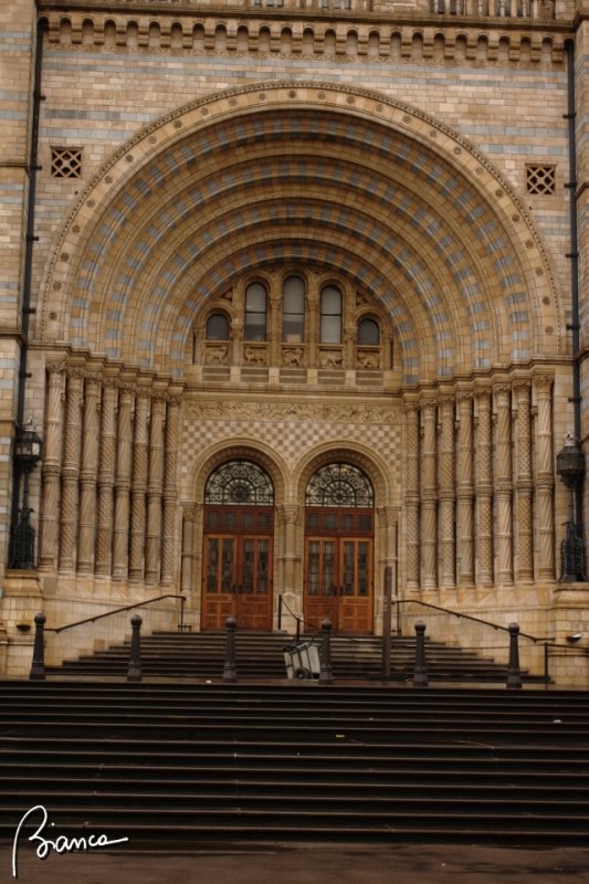 Natural History Museum