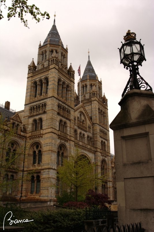 Natural History Museum