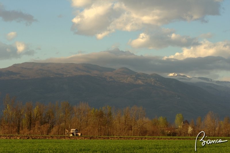 The country