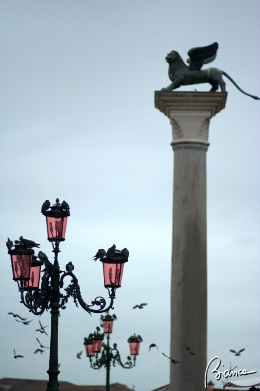Piazza San Marco
