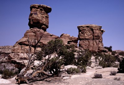 Canyonlands National Park:  Upheaval Dome Area