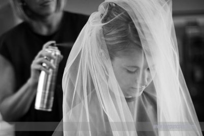 The Veil.jpg