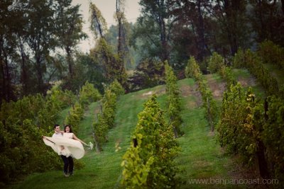 Trash the Dress vineyard.jpg