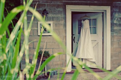 Wedding Dress at Blue Dress Barn.jpg
