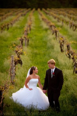 Vineyard wedding photos.jpg