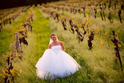 Vineyard Wedding.jpg