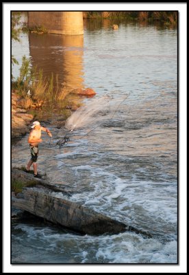Cast Net