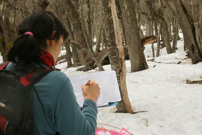 filling an observation sheet