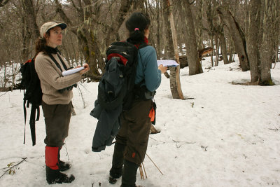 taking vegetation and foraging data