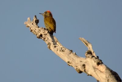 g3/57/921257/3/120843373.Xj4r6462.jpg