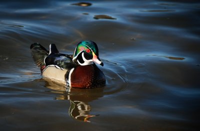 g3/57/932657/3/121029127.pKVYf1Oz.jpg