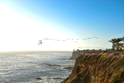 snapshots in the Palos Verdes peninsula