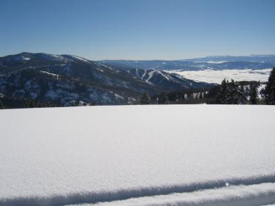 IMG_1134.JPG