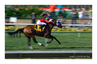 Del Mar Horse Racing