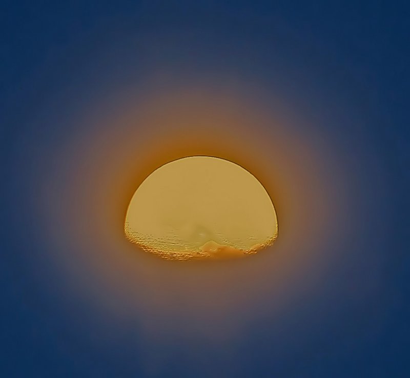 Sunny Side Up