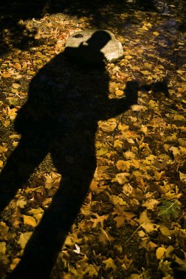 Shady Character