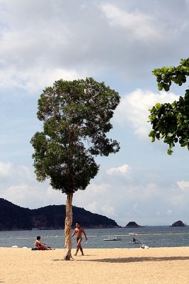 Lifeguard and Tree